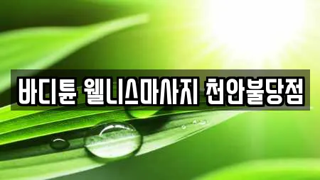 바디튠 웰니스마사지 천안불당점