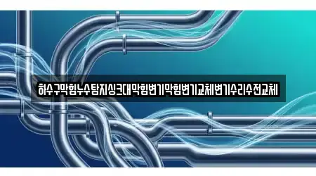 하수구막힘누수탐지싱크대막힘변기막힘변기교체변기수리수전교체