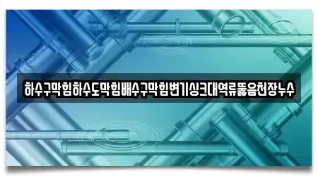 하수구막힘하수도막힘배수구막힘변기싱크대역류뚫음천장누수