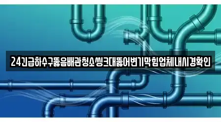 24긴급하수구뚫음배관청소씽크대뚫어변기막힘업체내시경확인