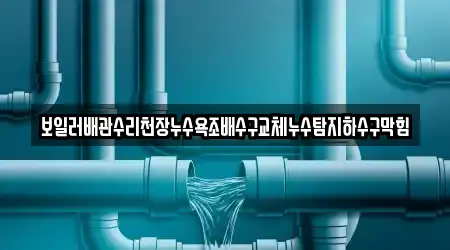 보일러배관수리천장누수욕조배수구교체누수탐지하수구막힘