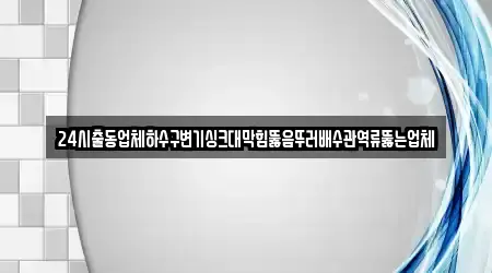 24시출동업체하수구변기싱크대막힘뚫음뚜러배수관역류뚫는업체