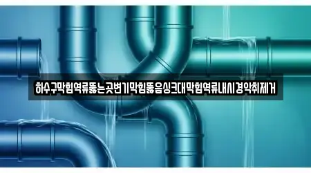 하수구막힘역류뚫는곳변기막힘뚫음싱크대막힘역류내시경악취제거