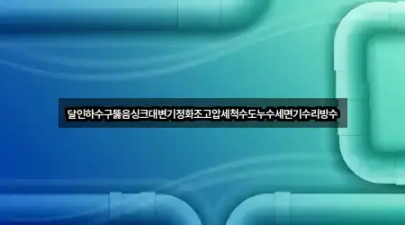 달인하수구뚫음싱크대변기정화조고압세척수도누수세면기수리방수
