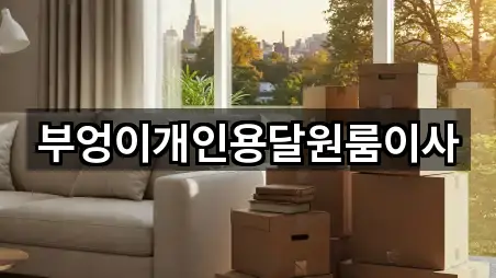 부엉이개인용달원룸이사