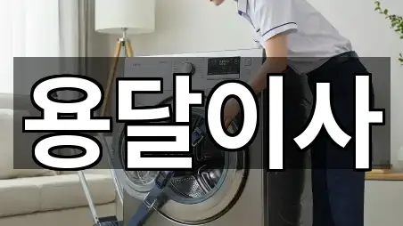 3곳 전북특별자치도 신용동 용달이사 주변순 3곳 전북특별자치도 신용동 용달이사 주변순