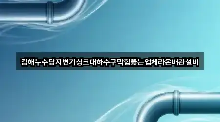 김해누수탐지변기싱크대하수구막힘뚫는업체라온배관설비