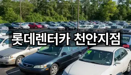 롯데렌터카 천안지점