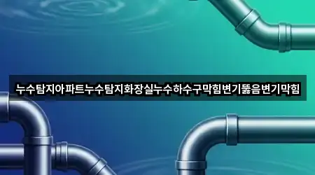 누수탐지아파트누수탐지화장실누수하수구막힘변기뚫음변기막힘