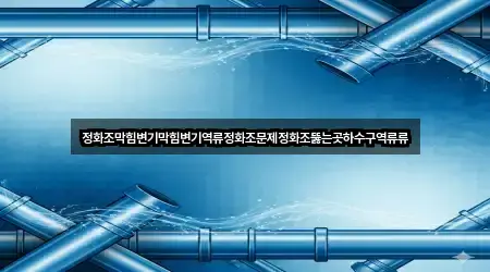 정화조막힘변기막힘변기역류정화조문제정화조뚫는곳하수구역류류