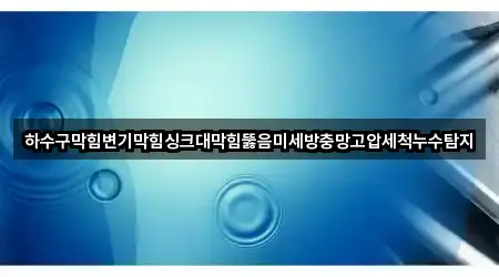 하수구막힘변기막힘싱크대막힘뚫음미세방충망고압세척누수탐지