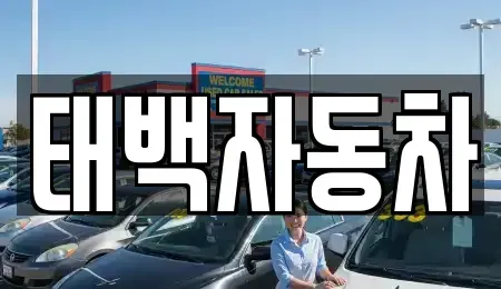 강원 태백시 중고차매매 전문 태백자동차