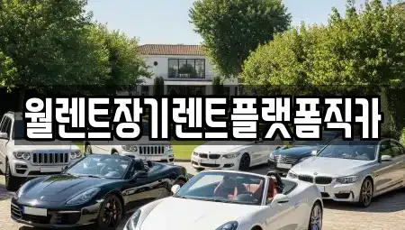 경기 안성시 서인동 장기렌트카 전문 월렌트장기렌트플랫폼직카