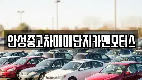 경기 안성시 서인동 중고차 전문 안성중고차매매단지카맨모터스