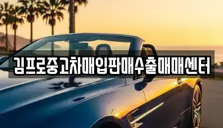 경기 안성시 서인동 중고차매입 전문 김프로중고차매입판매수출매매센터