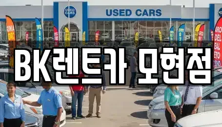 경기 용인시 처인구 모현읍 렌트카 전문 BK렌트카 모현점