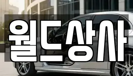 경기도 안성시 발화동 중고차매매 전문 월드상사