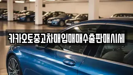 경기도 안성시 발화동 중고차매매 전문 카카오토중고차매입매매수출판매시세