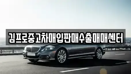 경기도 안성시 발화동 중고차매입 전문 김프로중고차매입판매수출매매센터