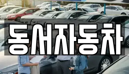 경남 창원시 마산합포구 신포동1가 중고차매매 전문 동서자동차