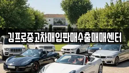 경남 창원시 마산합포구 신포동1가 중고차매입 전문 김프로중고차매입판매수출매매센터