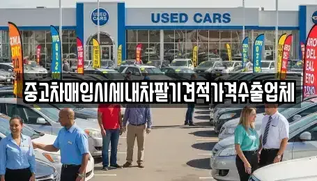 경남 창원시 마산합포구 신포동1가 중고차매입 전문 중고차매입시세내차팔기견적가격수출업체