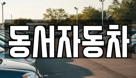 경북 고령군 운수면 중고차매매 전문 동서자동차