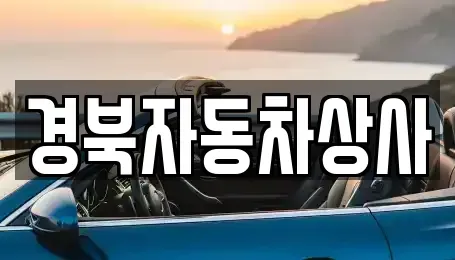 경상북도 예천군 예천읍 중고차매매,단기렌트카,중고차매입,장기렌트카,중고차,렌트카