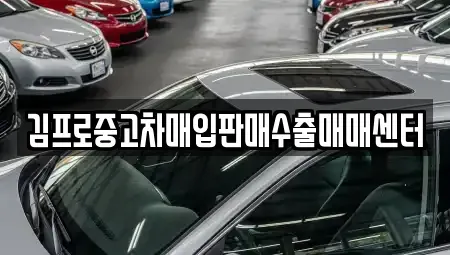경상북도 예천군 예천읍 중고차매매 전문 김프로중고차매입판매수출매매센터