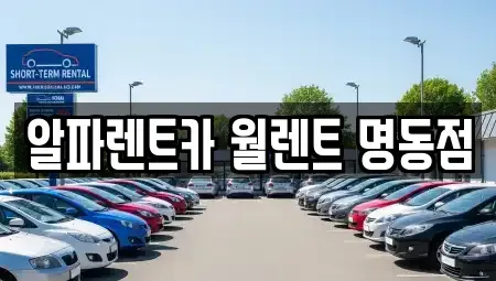 서울 중구 수표동 렌트카 전문 알파렌트카 월렌트 명동점