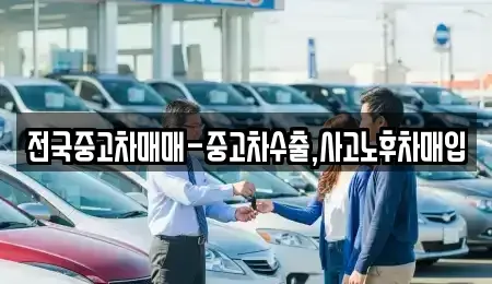 서울 중구 수표동 중고차매입 전문 전국중고차매매-중고차수출,사고노후차매입