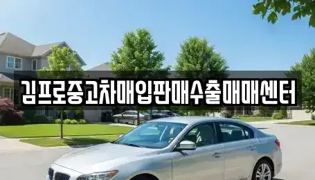 전북특별자치도 정읍시 송산동 중고차매입 전문 김프로중고차매입판매수출매매센터