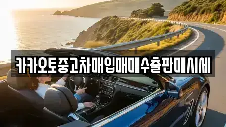 충청남도 논산시 강경읍 중고차매입 전문 카카오토중고차매입매매수출판매시세